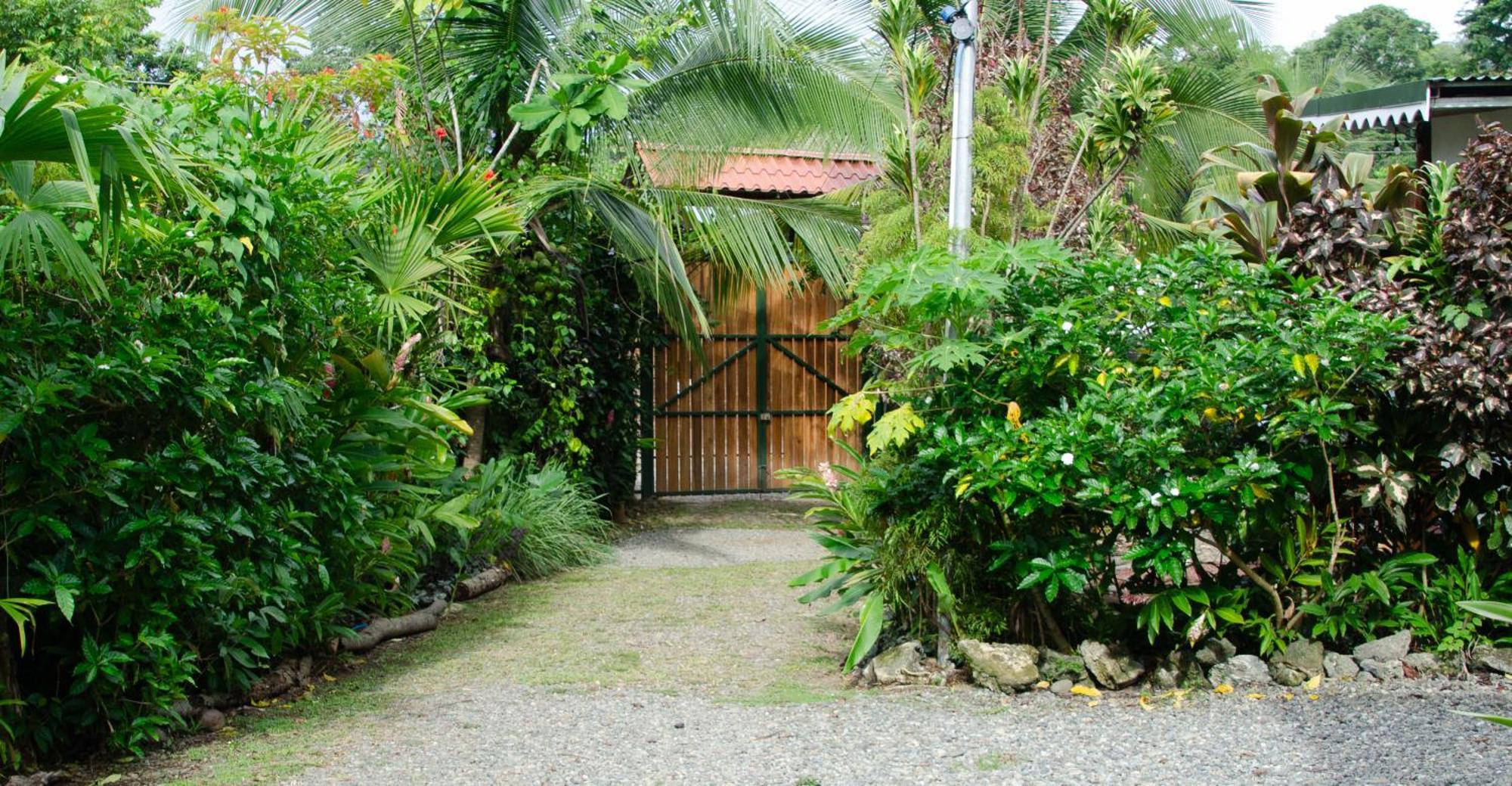 Colibri Ecolodge 3 Minutes Walk To Beach And Town Puerto Viejo de Talamanca Kültér fotó