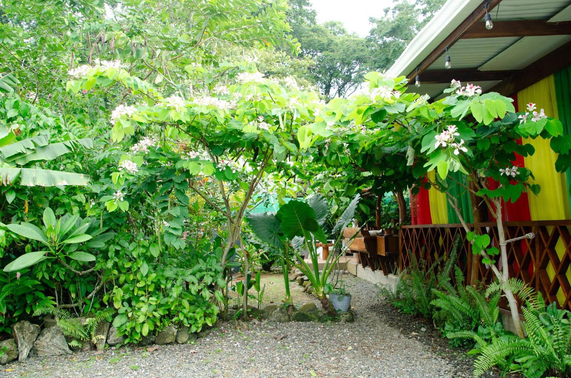 Colibri Ecolodge 3 Minutes Walk To Beach And Town Puerto Viejo de Talamanca Kültér fotó